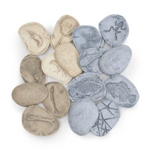 302268_Magnetic_Matching_Fossil_Stones__Aquatic_Life_Set_of_8_Main